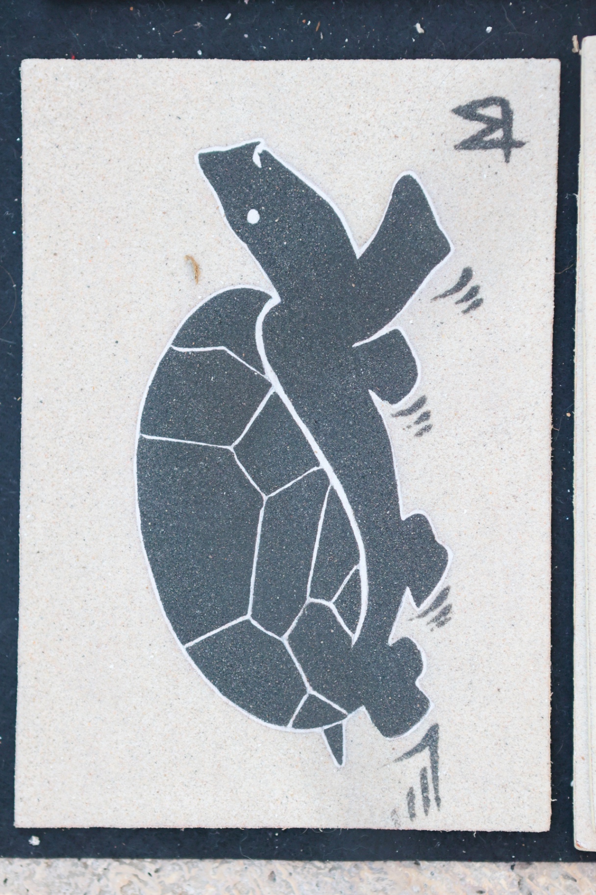 La Tortue